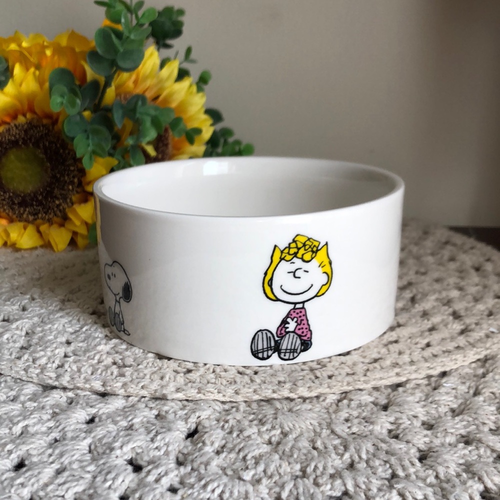 Peanuts Character Ceramic PET Bowl